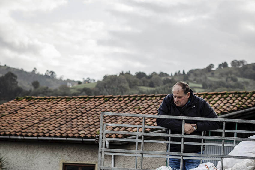 Sidra Trabanco paraliza temporalmente la mayanza Sidra Trabanco paraliza temporalmente la mayanza