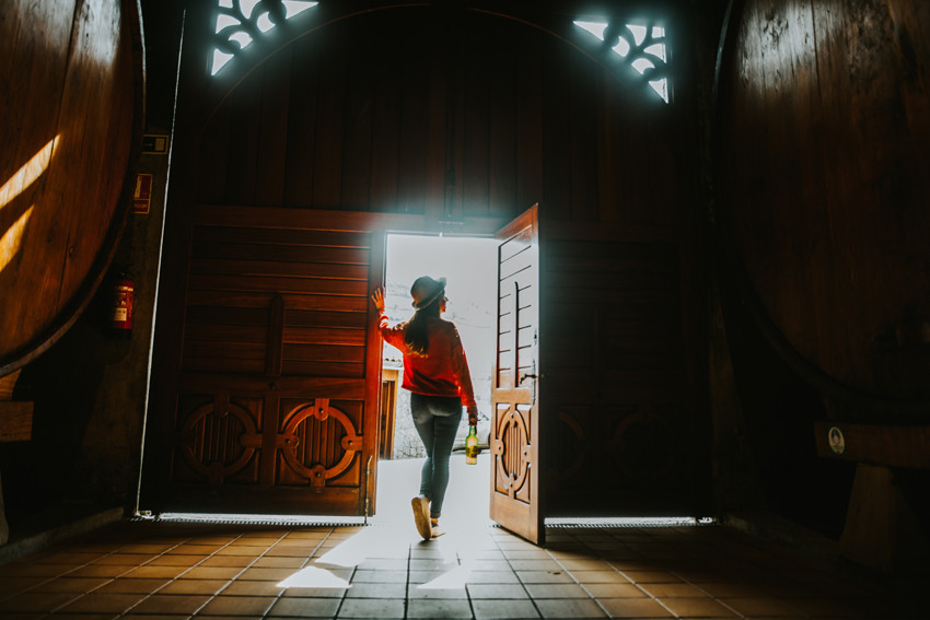 ¡Estamos de vuelta! ¡Estamos de vuelta!